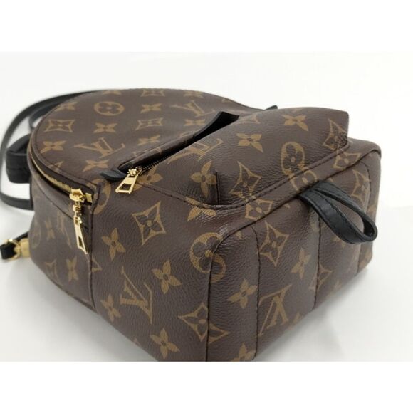 Louis Vuitton Rucksack Palm Springs Backpack Mini Monogram - Picture 3 of 10